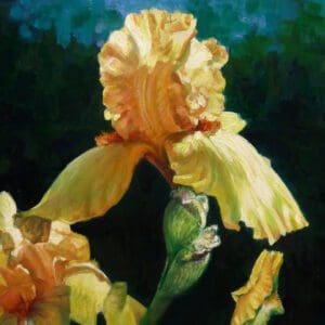 Oil/Acrylic Open Painting Studio - Wayne Hibschman - Fall Session 2
