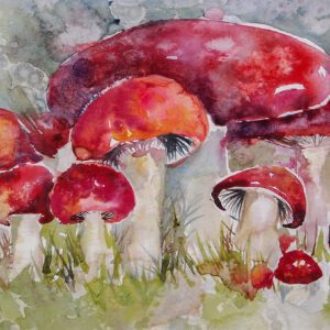 Amanda Gerace Mushrooms